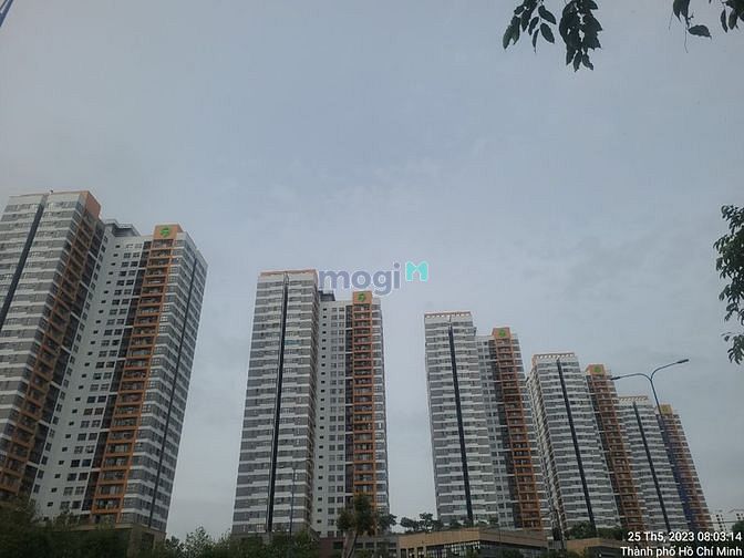 Hình ảnh Cho thuê chung cư quận 2, 52m2,1pn, The Sun Avenue