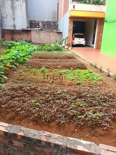Hình ảnh Cực hot - bán đất ngọc trì, thạch bàn, long biên 60m. giá 6.5 tỷ