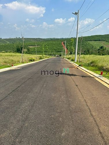 Hình ảnh đất thổ cư sổ sẵn giá tốt công chứng ngay