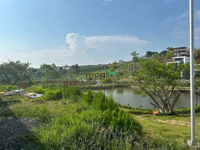 Hình ảnh đất thổ cư sổ sẵn giá tốt công chứng ngay