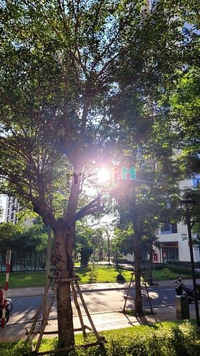 Hình ảnh Cho thuê mặt bằng làm Spa trong Vinhomes Grand Park