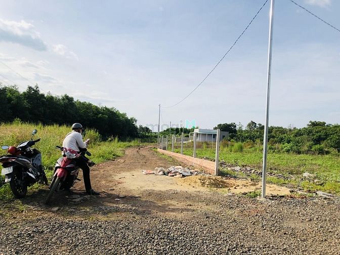 Hình ảnh Đất vườn trồng Bưởi góc 2 mặt đường SHR