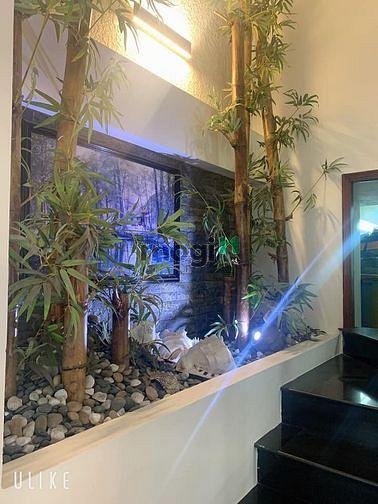 Hình ảnh Biệt thự! Nguyễn Cửu Vân Bình Thạnh cạnh Quận 1, 120m2 chỉ 22,99 tỷ