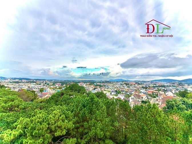 Hình ảnh Bán đất Đồi Thông Tin Phường 8 Đà Lạt có view đẹp thích hợp nghỉ dưỡng