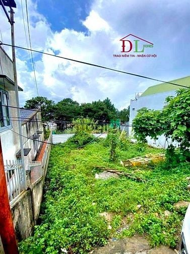 Hình ảnh Bán đất Đồi Thông Tin Phường 8 Đà Lạt có view đẹp thích hợp nghỉ dưỡng
