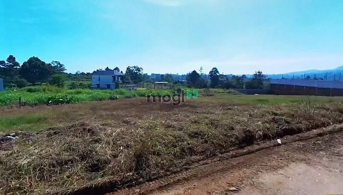 Hình ảnh Bán đất biệt thự hẻm 73 Hoài Thanh - Lộc Sơn - Bảo Lộc