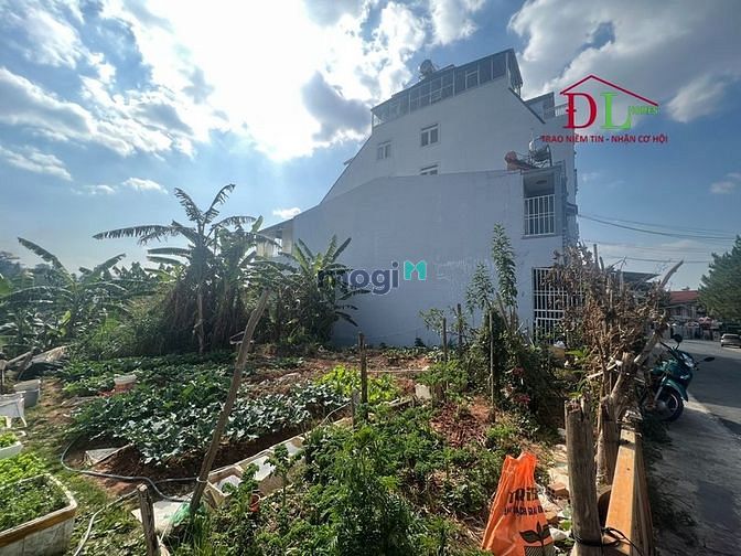 Hình ảnh Bán đất Tô Hiến Thành phường 3 Đà Lạt view thung lũng hợp nghỉ dưỡng