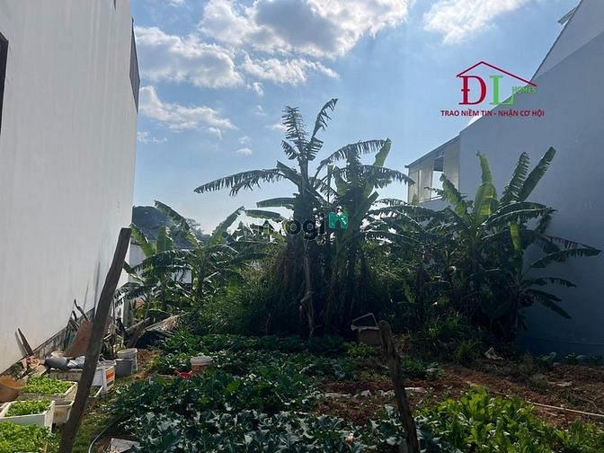 Hình ảnh Bán đất Tô Hiến Thành phường 3 Đà Lạt view thung lũng hợp nghỉ dưỡng