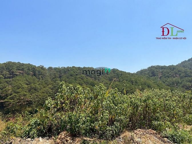 Hình ảnh Bán đất Hoàng Hoa Thám phường 10 Đà Lạt view thung lũng săn mây