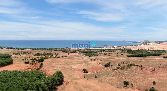Hình ảnh Bán nhanh lô đất 3000m2 Hòa Thắng, quy hoạch đất ở đô thị, ra biển 2km