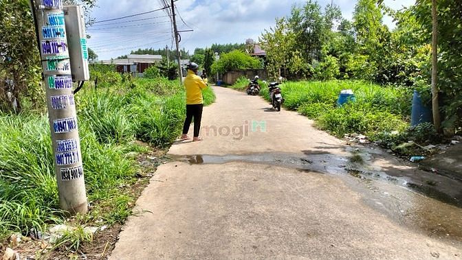Hình ảnh Đất thổ cư 355m2 SHR ngay QL51 giá cực rẻ