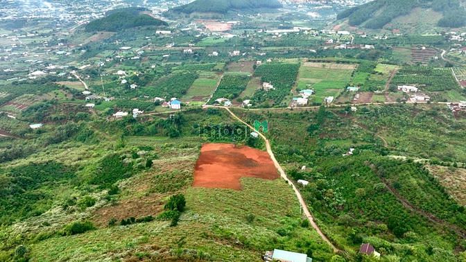 Hình ảnh Ông anh kẹt tiền cần đi gấp lô View cực đẹp