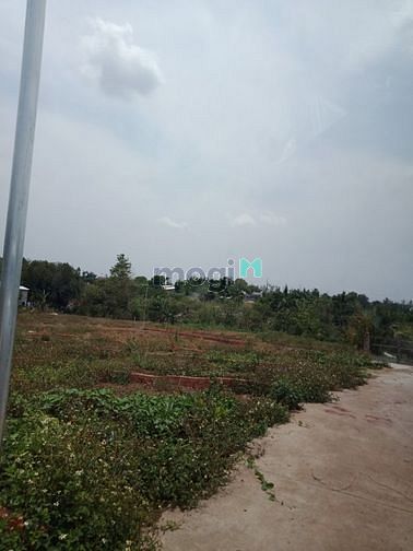 Hình ảnh Cần ra nhanh lô đất 100m2 full thổ cư tại Trảng Bom Đồng Nai