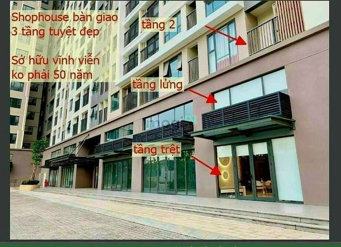 Hình ảnh Cọc 3 tháng đầu khách hàng được miễn 6 tháng thuê đầu tiên tại Picity