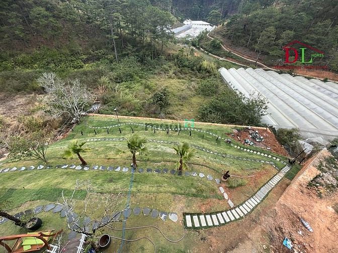 Hình ảnh Bán đất Hoàng Hoa Thám phường 10 Đà Lạt view thung lũng rừng thông