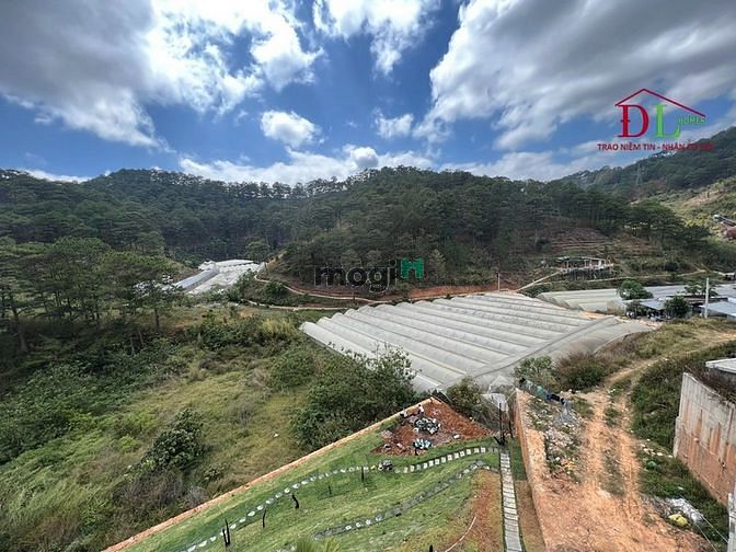 Hình ảnh Bán đất Hoàng Hoa Thám phường 10 Đà Lạt view thung lũng rừng thông