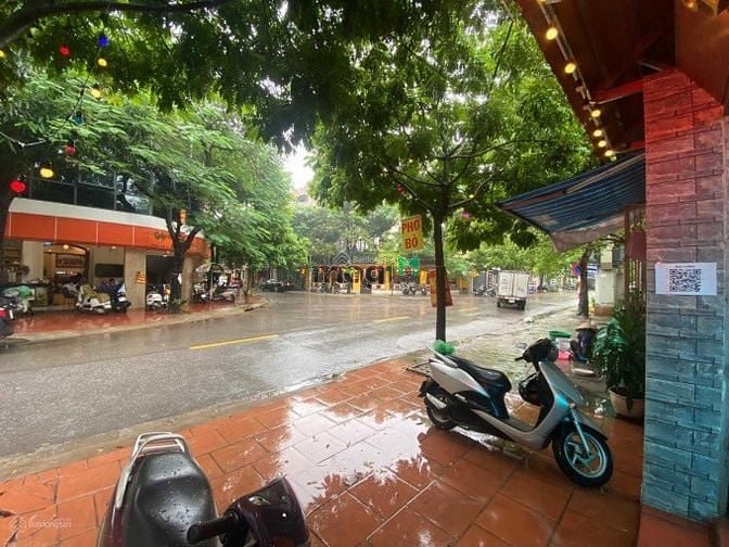 Hình ảnh Cho thuê nhà mặt phố Trần Triền - Định Công