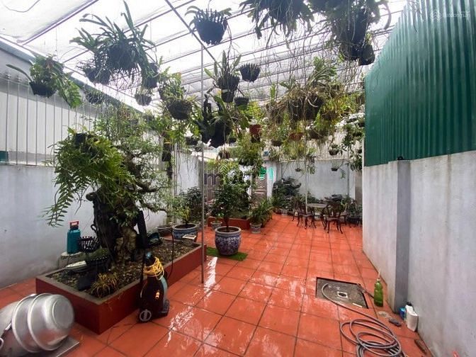 Hình ảnh Cho thuê nhà mặt phố Trần Triền - Định Công