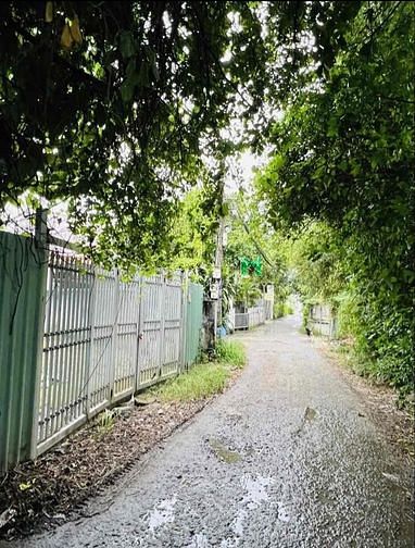 Hình ảnh Bán 210m2 đất thổ cư Trịnh Thị Miếng Xã Thới Tam Thôn Hóc Môn