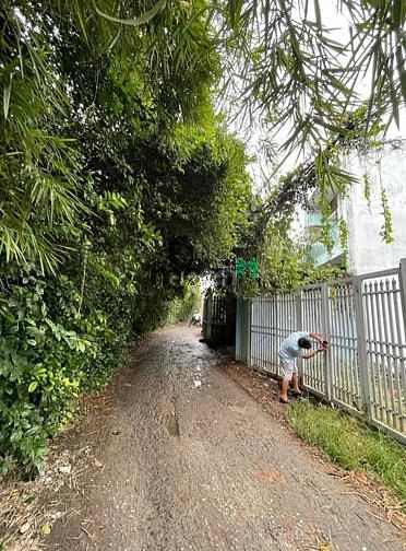 Hình ảnh Bán 210m2 đất thổ cư Trịnh Thị Miếng Xã Thới Tam Thôn Hóc Môn