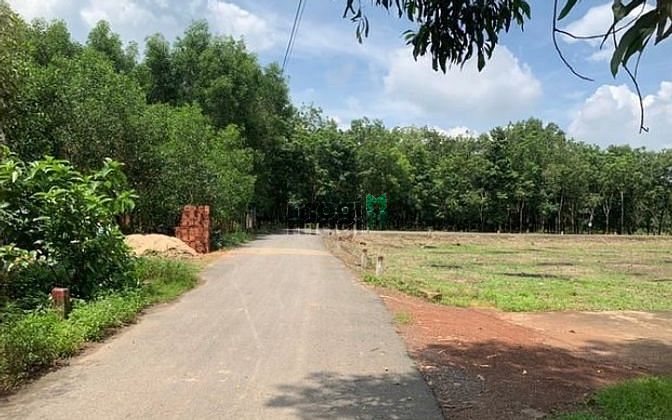 Hình ảnh Bán đất sổ hồng riêng ngay trung tâm Trảng Bom