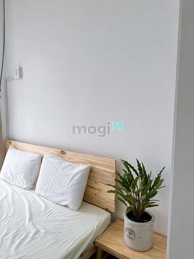 Hình ảnh Khai Trương CHDV Mới Full Nội Thất, Ban Công Thoải Mái Trồng Cây