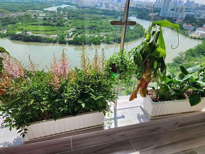 Hình ảnh Cho thuê RiverSide Resciden, PMH, Q7