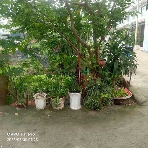 Hình ảnh Đất 2 MT hẻm ÔTÔ, gần Cafe Góc Phố, Tân Chánh Hiệp, Q12; 56m2; 3Tỷ2.