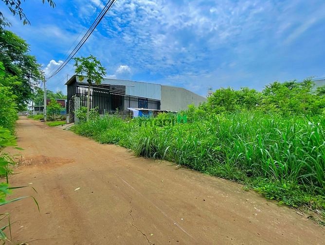 Hình ảnh Đất Ở Ngay KDC Gần QL1A SHR Giá Rẻ