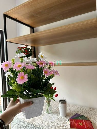 Hình ảnh 🌈CHDV-STUDIO👉FUll nội thất🍀balcony🫣Ngay Nguyễn Thị Thập🔰Quận 7🔰