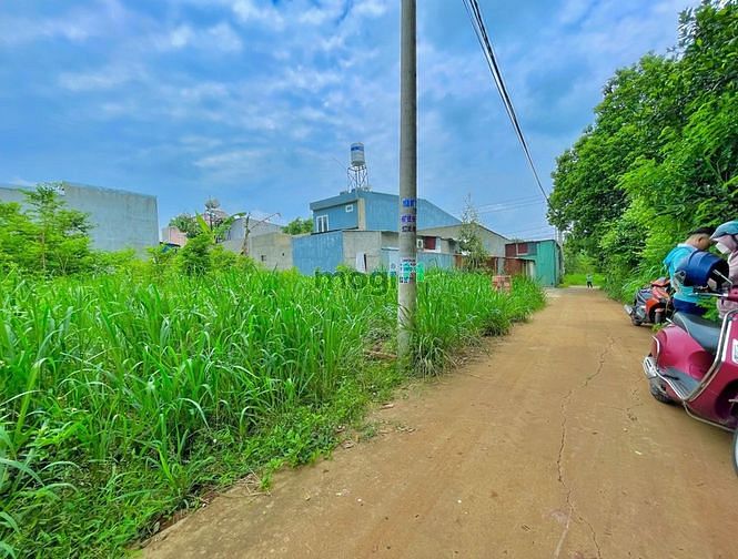 Hình ảnh Đất Ở Ngay KDC Gần QL1A SHR Giá Rẻ