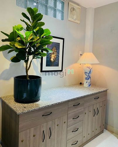 Hình ảnh Chung cư Mini cao cấp ngay Cầu Ông Lãnh - rộng 78m2