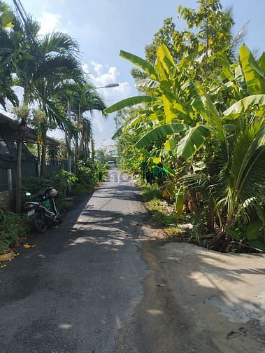 Hình ảnh Đất nền phân lô thổ cư 100% giá tốt Mỹ Phong Tiền Giang