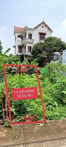 Hình ảnh BÁN ĐẤT Thượng Cát 60m2 ĐẤT, MT4m,ô tô 16 chỗ vào nhà, Giá chào 2.5 TỶ