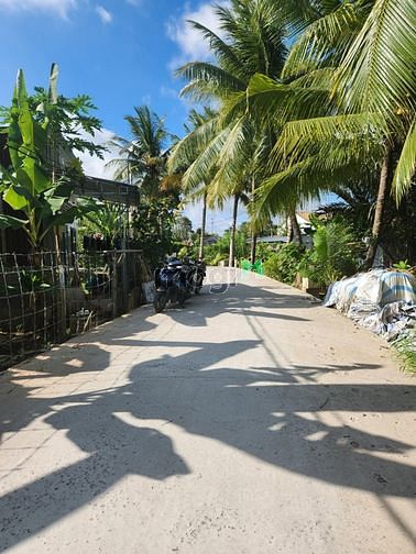 Hình ảnh Nền rạch Cái Tắc, Tạ Thị Phi, cách đại học FPT chưa đầy 1km