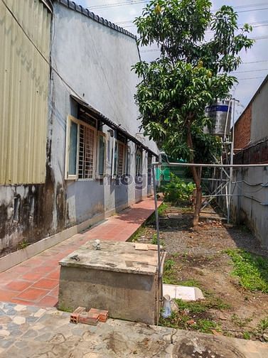Hình ảnh Nhà nguyên căn rộng rãi co vườn cây  hồ cá