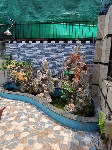 Hình ảnh Nhà nguyên căn rộng rãi co vườn cây  hồ cá