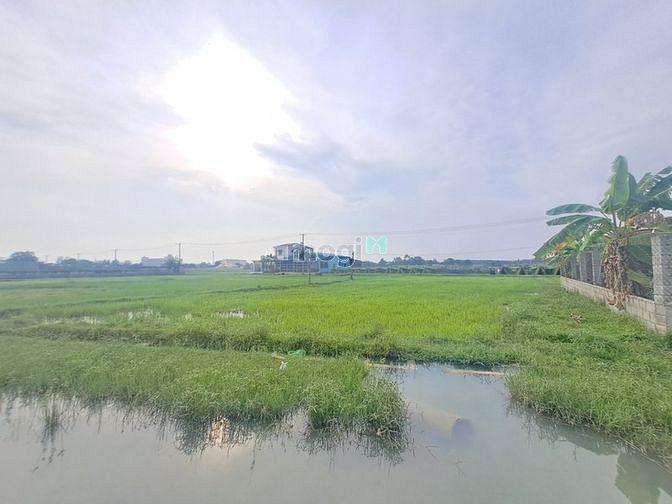 Hình ảnh Mặt bằng 2.000m2 Quận Bình Thạnh
