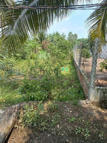 Hình ảnh Bán gấp miếng đất Đức Hòa,533m2 thổ, Long An