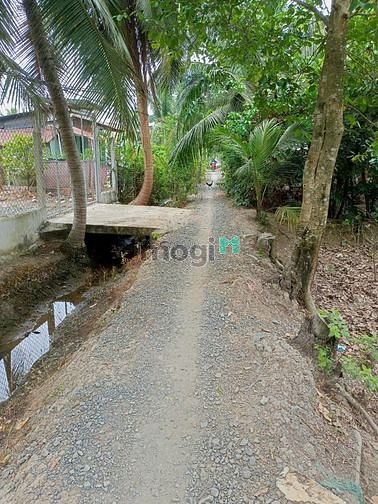 Hình ảnh Bán gấp miếng đất Đức Hòa,533m2 thổ, Long An