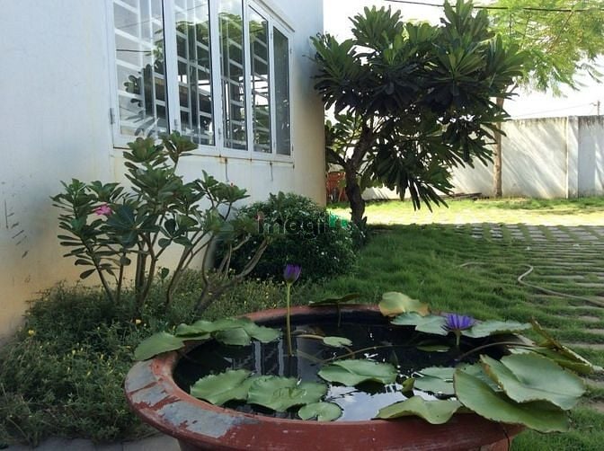 Hình ảnh Bán đất tặng nhà xưởng 2 T, 1077m2, Võ Văn Bích, Củ Chi, chỉ 21 tỷ TL