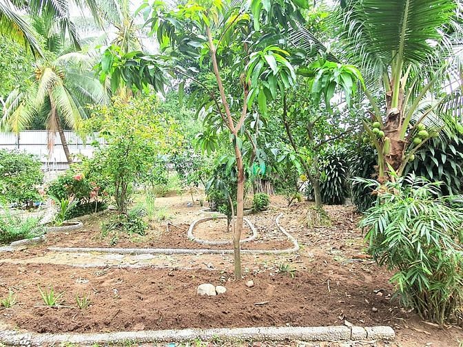Hình ảnh Cho thuê đất trống siêu đẹp 1500m2 ngay phường Tân Hiệp