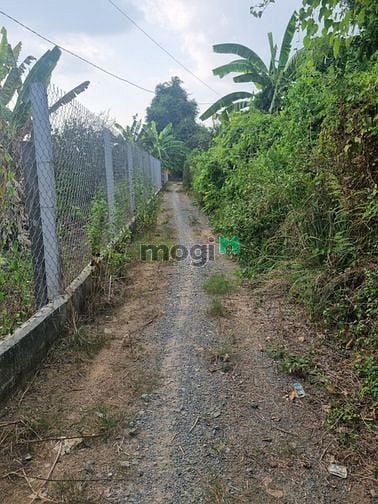 Hình ảnh Đất bán 1150m2 Bình Lợi 6,9 tỷ view Sông SHR có thổ cư xây nhà vườn