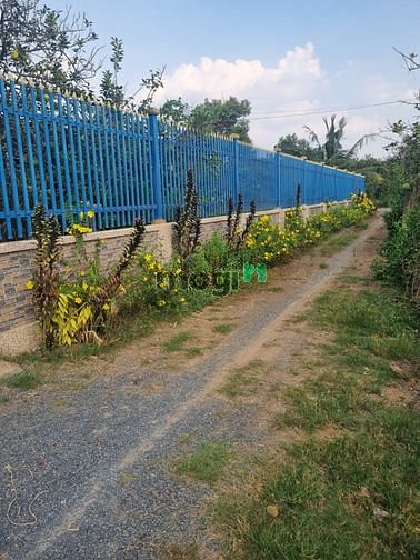 Hình ảnh Đất bán 1150m2 Bình Lợi 6,9 tỷ view Sông SHR có thổ cư xây nhà vườn