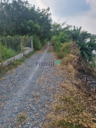 Hình ảnh Đất bán 1150m2 Bình Lợi 6,9 tỷ view Sông SHR có thổ cư xây nhà vườn