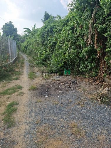 Hình ảnh Đất bán 1150m2 Bình Lợi 6,9 tỷ view Sông SHR có thổ cư xây nhà vườn