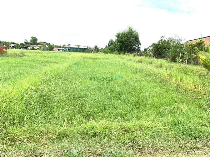 Hình ảnh Bán đất f0 xã Hòa Khánh Đông, Đức Hòa 160m sổ sạch giá 1ty2