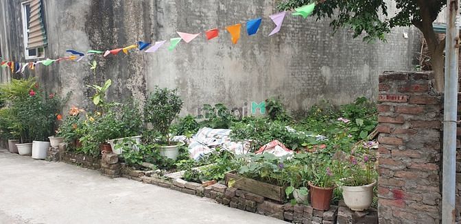 Hình ảnh Bán đất Thượng Cát Quận Bắc Từ Liêm 60m2 ô tô tải vào đất nhỉnh 2 tỷ.