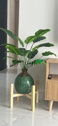 Hình ảnh cho thuê nhanh căn 3pn giá chỉ 10 triệu
