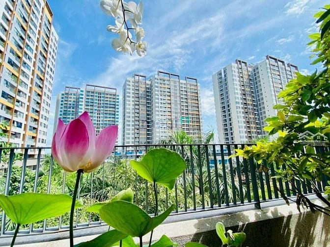 Hình ảnh Cho thuê Trang Chủ MB66.COM / Đăng Ký Tặng 66K lô góc 71m2 giá 7.8tr/tháng
